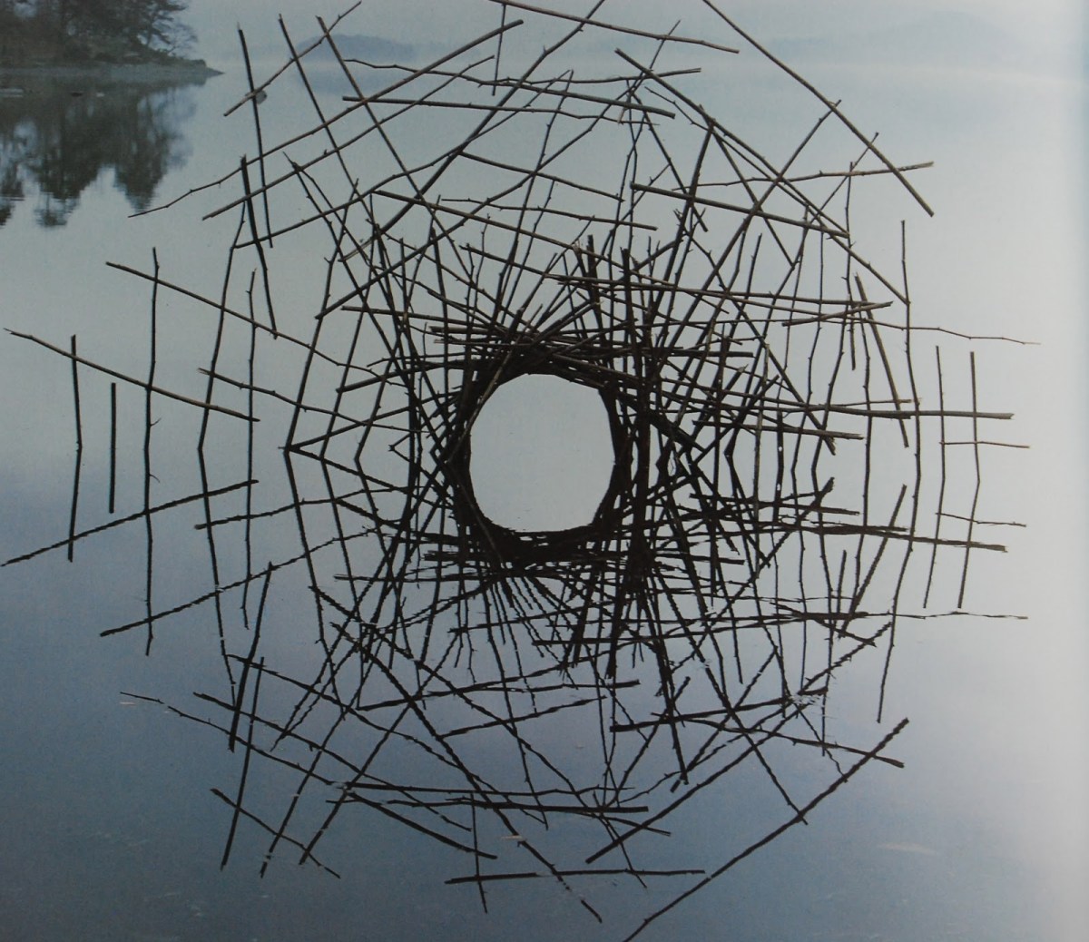 Andy Goldsworthy