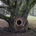 Andy Goldsworthy