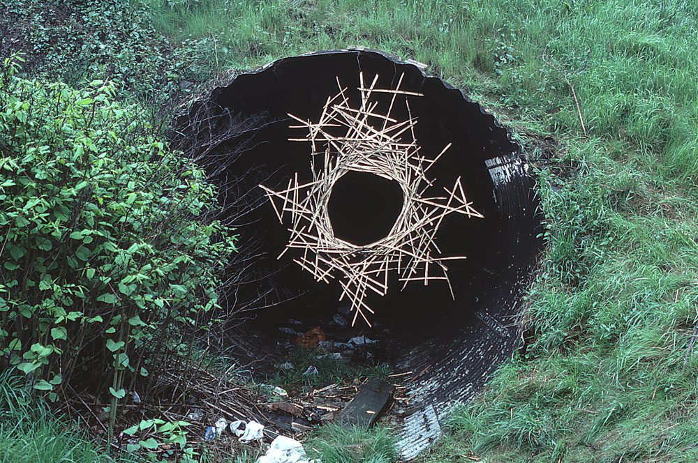 Andy Goldsworthy