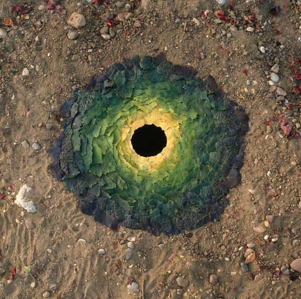 Andy Goldsworthy