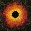 Andy Goldsworthy