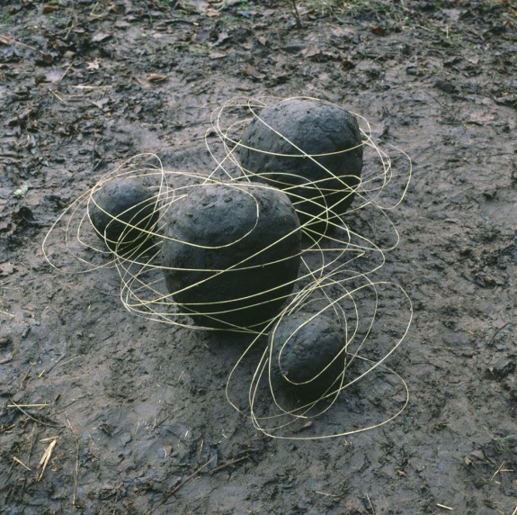 Andy Goldsworthy