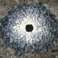 Andy Goldsworthy