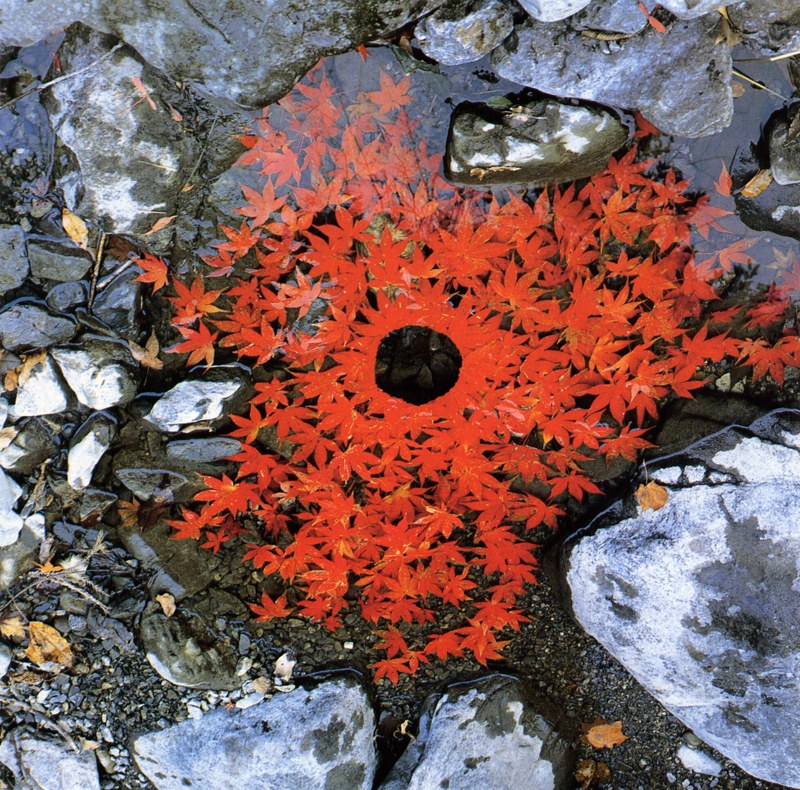 Andy Goldsworthy