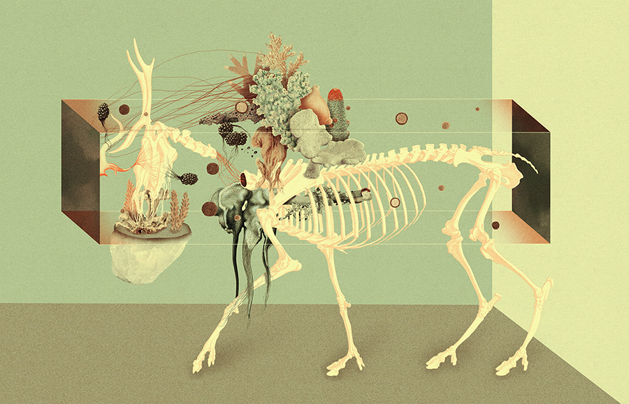 Pierre Schmidt aka drømsjel