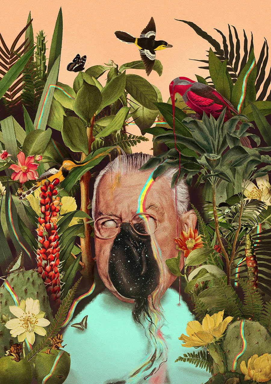 Pierre Schmidt aka drømsjel