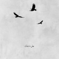 Fariedesign