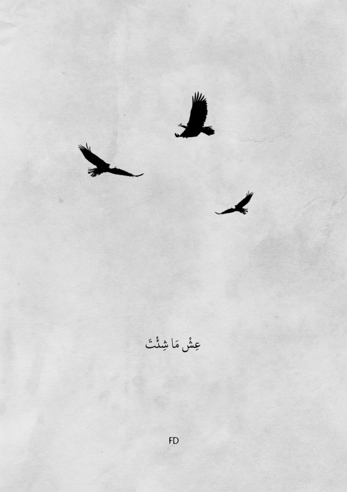 Fariedesign