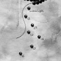 Fariedesign