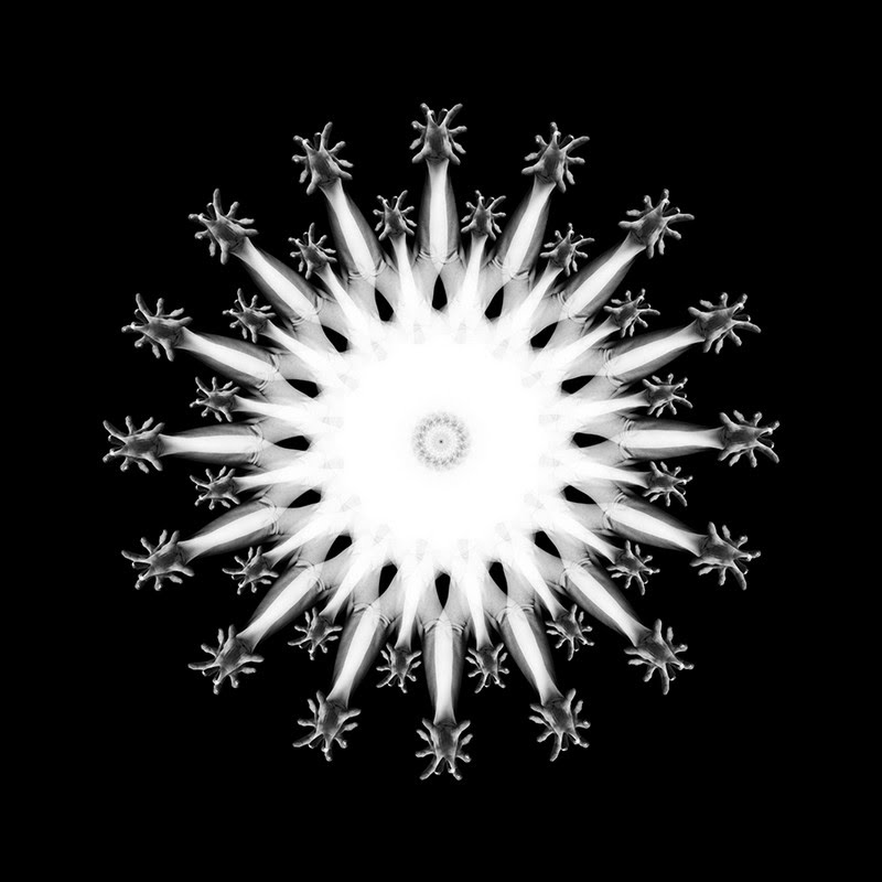 Body mandalas by Federico Bianchi