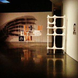 MACBA - Desires and necessities -Richard Hamilton - Growth and Forms