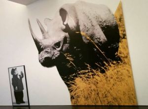MACBA - John Baldessari -Dwarf and #Rhinoceros (With Large Black Shape) with story called lamb