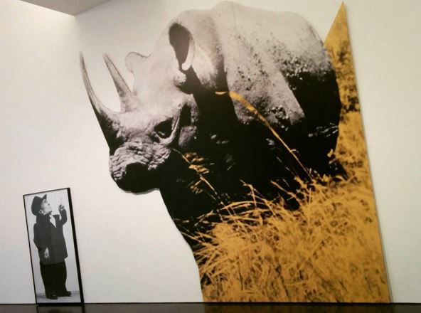 MACBA - John Baldessari -Dwarf and Rhinoceros (With Large Black Shape) with story called lamb