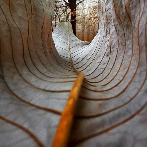 Fotografia di Maria Ibdah