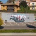 Nevercrew @ Varese