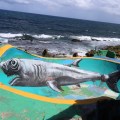 ROA – Puerto Rico