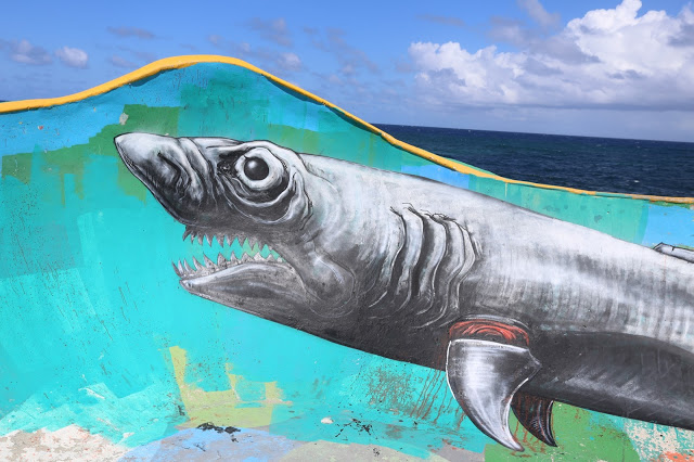 ROA - Puerto Rico