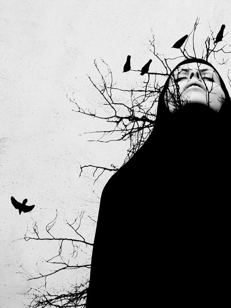 Fotografia di Shadiafarin Arash