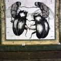 Shit Art Fair 2015 – Luogocomune