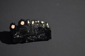 Davide Volponi - Le vedove al fiume