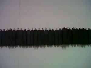 Davide Volponi - Le vedove in coro