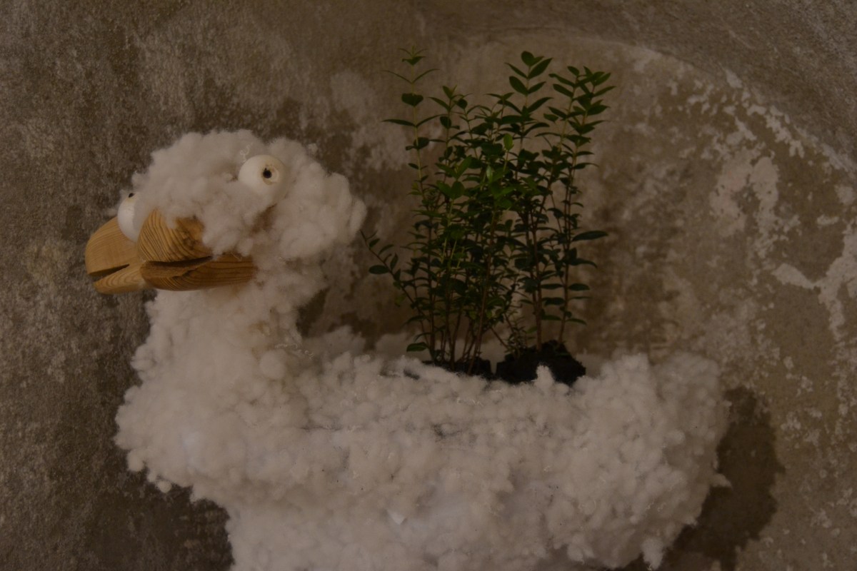 Davide Volponi - Pecoradueteste Quirra style