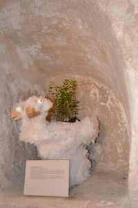 Davide Volponi - Pecoradueteste Quirra style