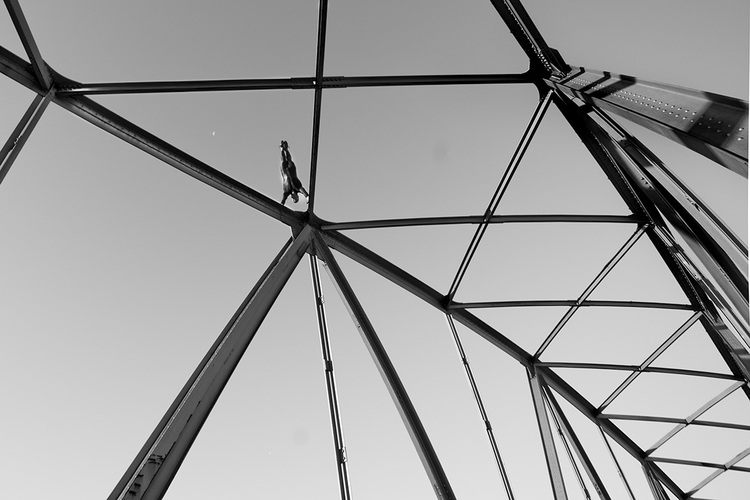 Eskil Rønningsbakken