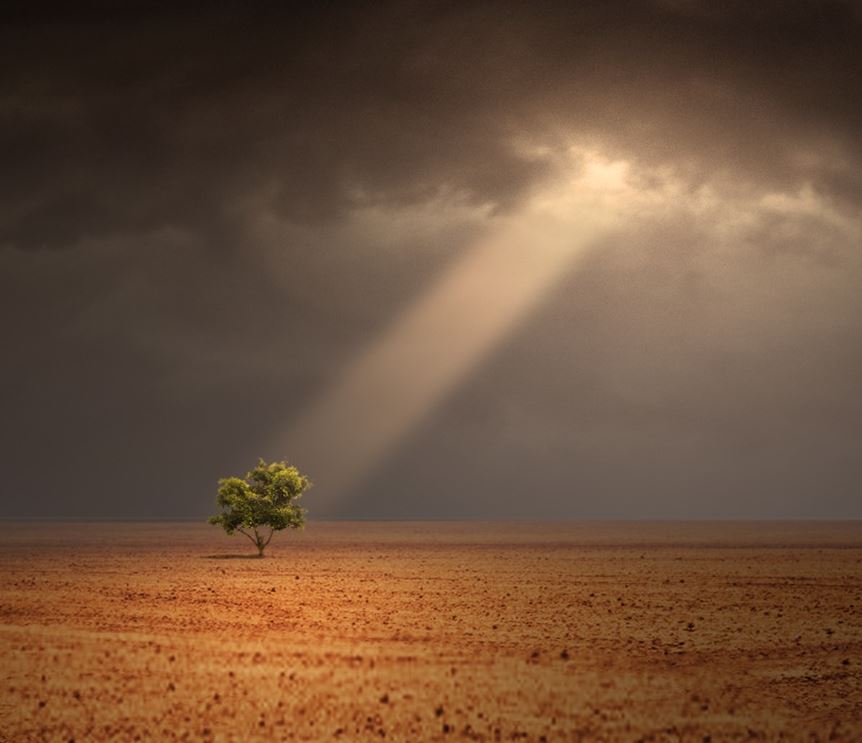 Hope by Aaron Shaver