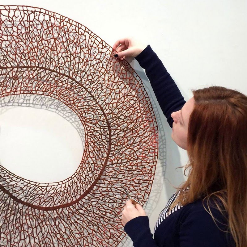 Meredith Woolnough
