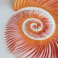 Meredith Woolnough