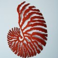 Meredith Woolnough