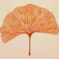 Meredith Woolnough