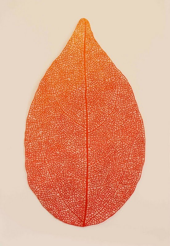 Meredith Woolnough
