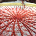 Meredith Woolnough