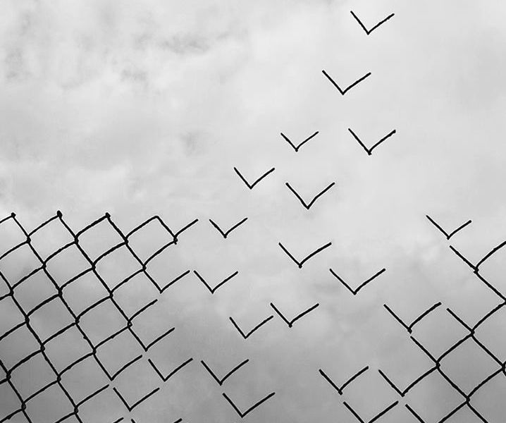 Opera di Daniel Alonso