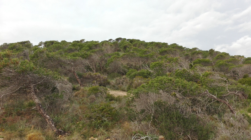 Nora-Bithia per le vie del mare