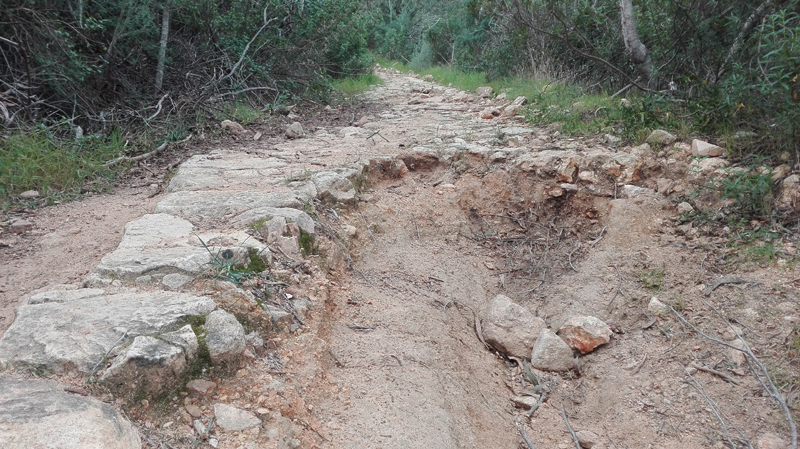 Nora-Bithia per le vie del mare