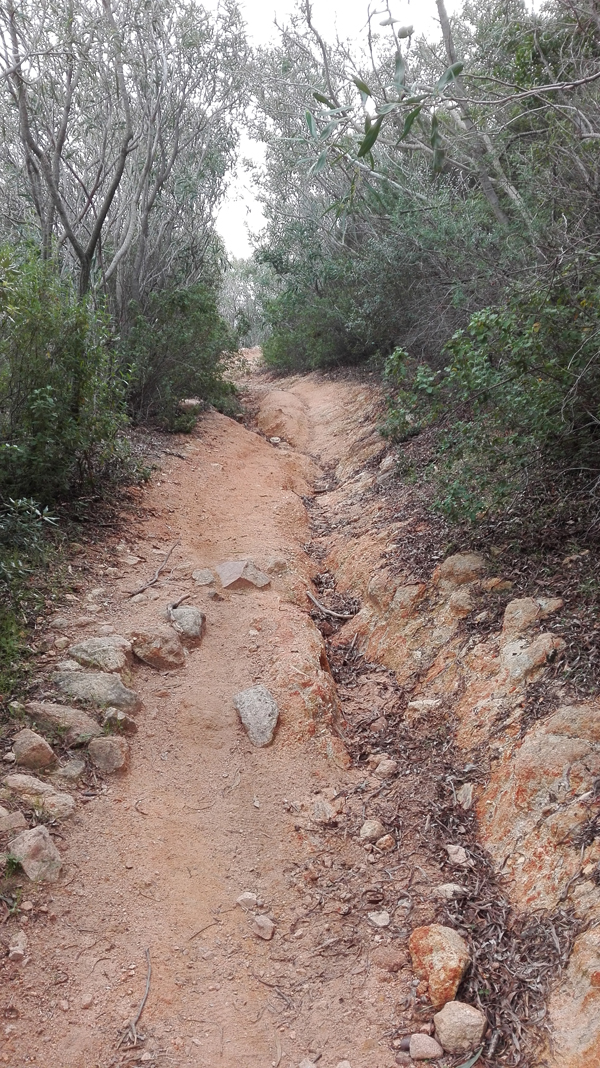 Nora-Bithia per le vie del mare