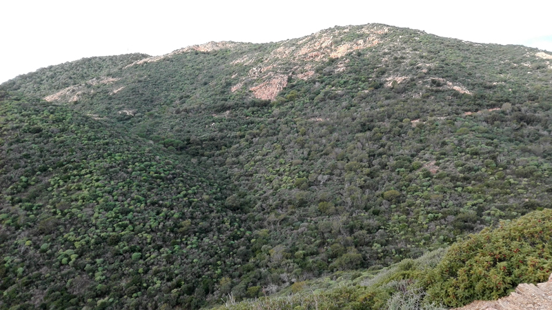 Nora-Bithia per le vie del mare