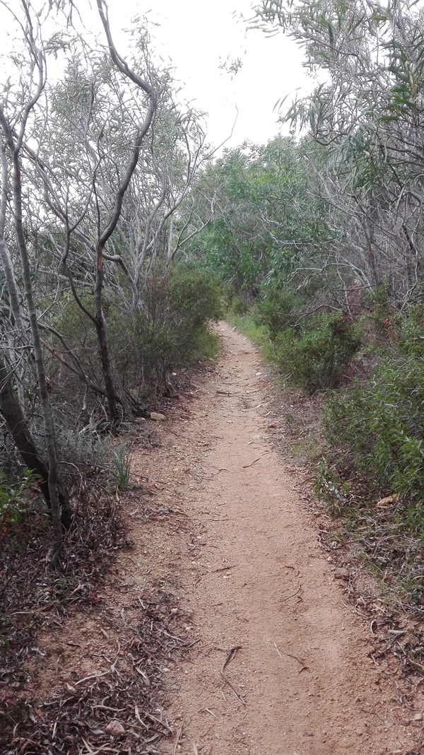 Nora-Bithia per le vie del mare
