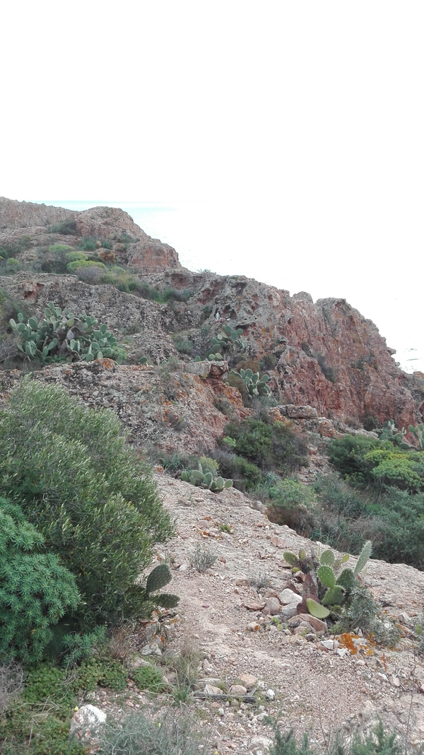 Nora-Bithia per le vie del mare