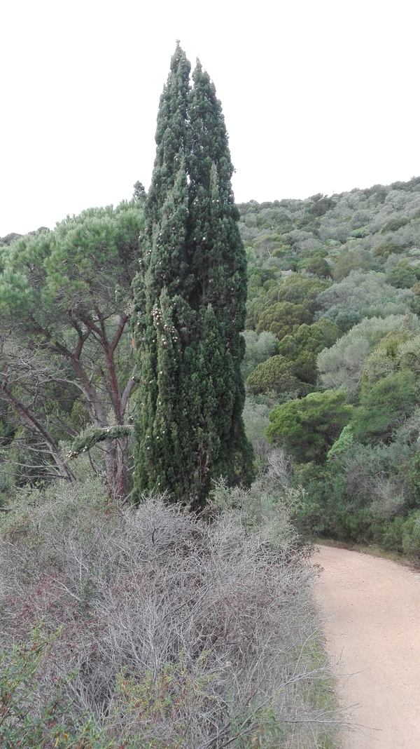 Nora-Bithia per le vie del mare