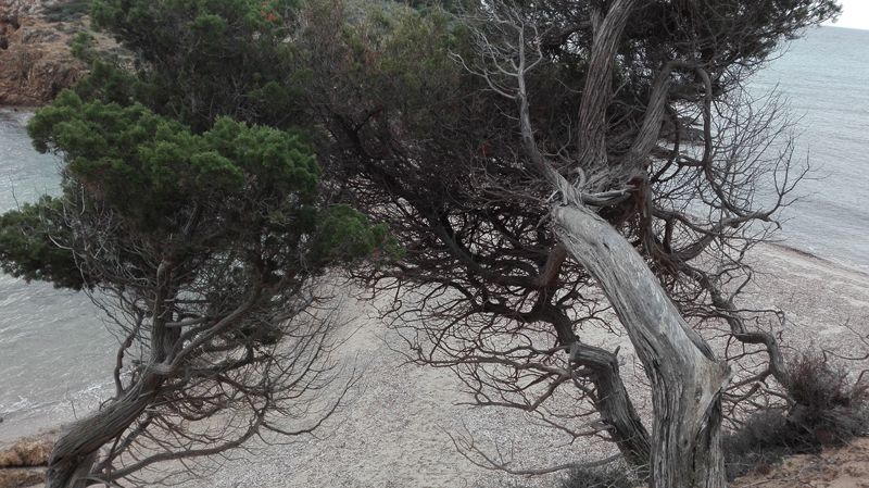 Nora-Bithia per le vie del mare