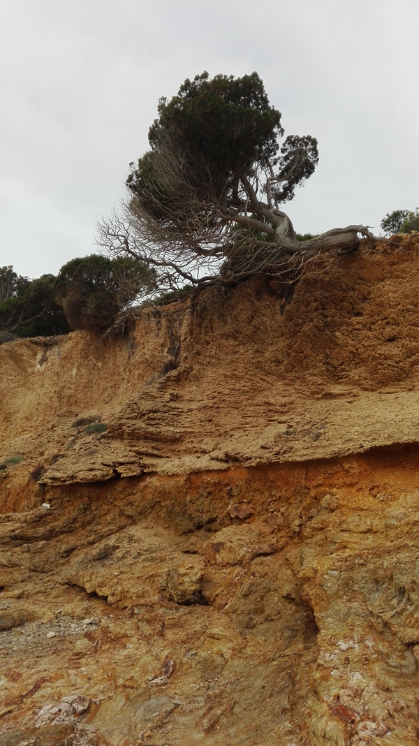 Nora-Bithia per le vie del mare