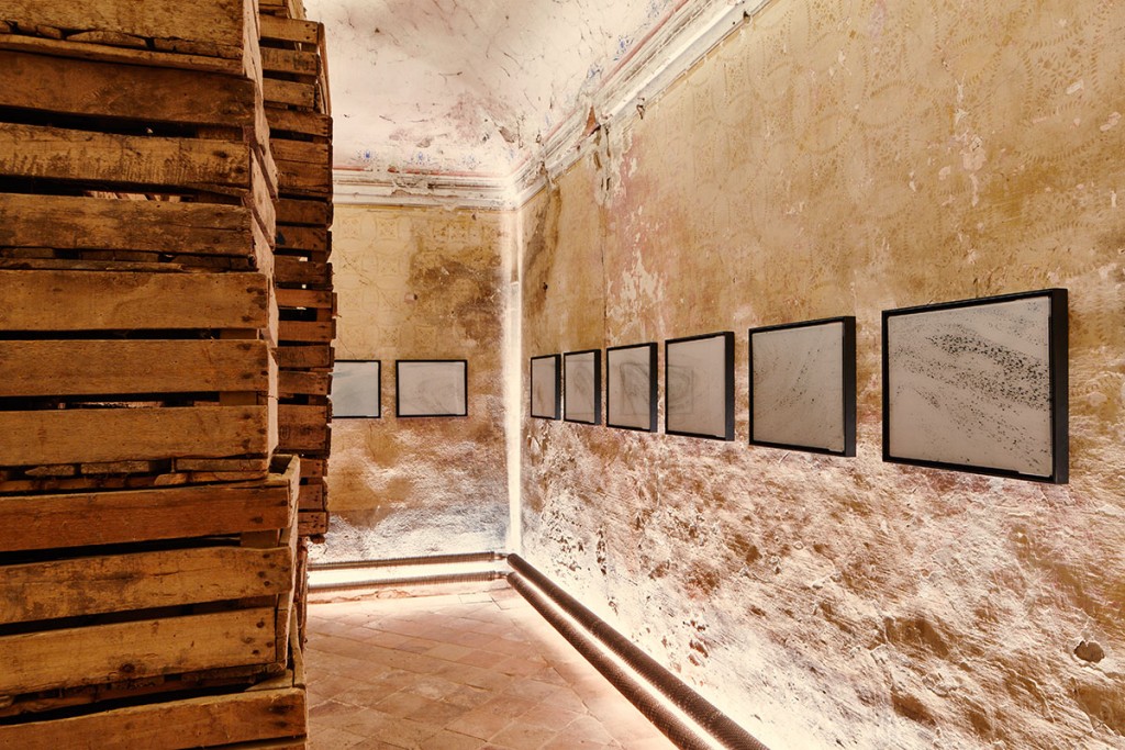 Museo della Merda