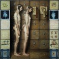 Dino Valls