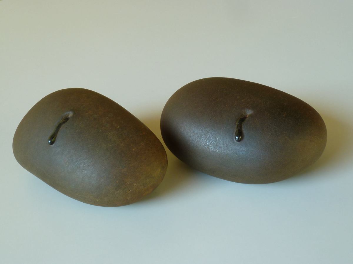 José Manuel Castro López