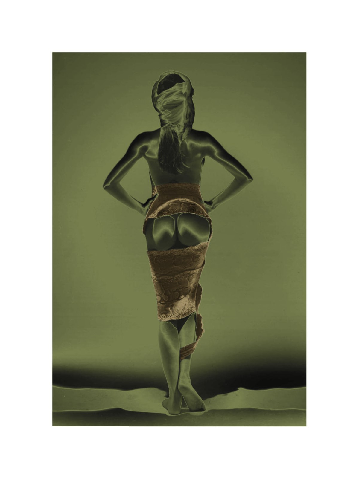 Michelangelo Arizzi - Analogie di pelle