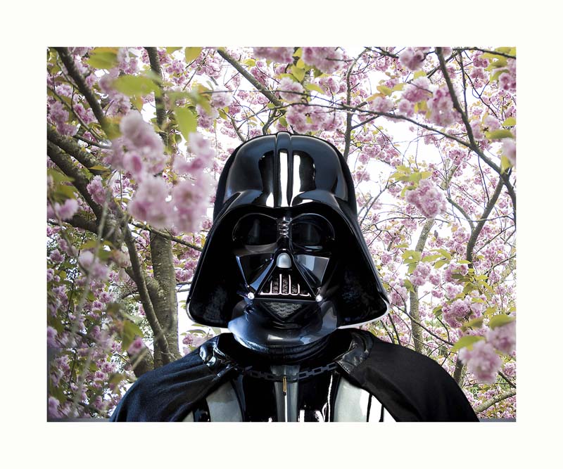 Michelangelo Arizzi - Darth VaderD